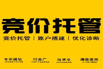 SEM推广优化实战：案例分析与启示